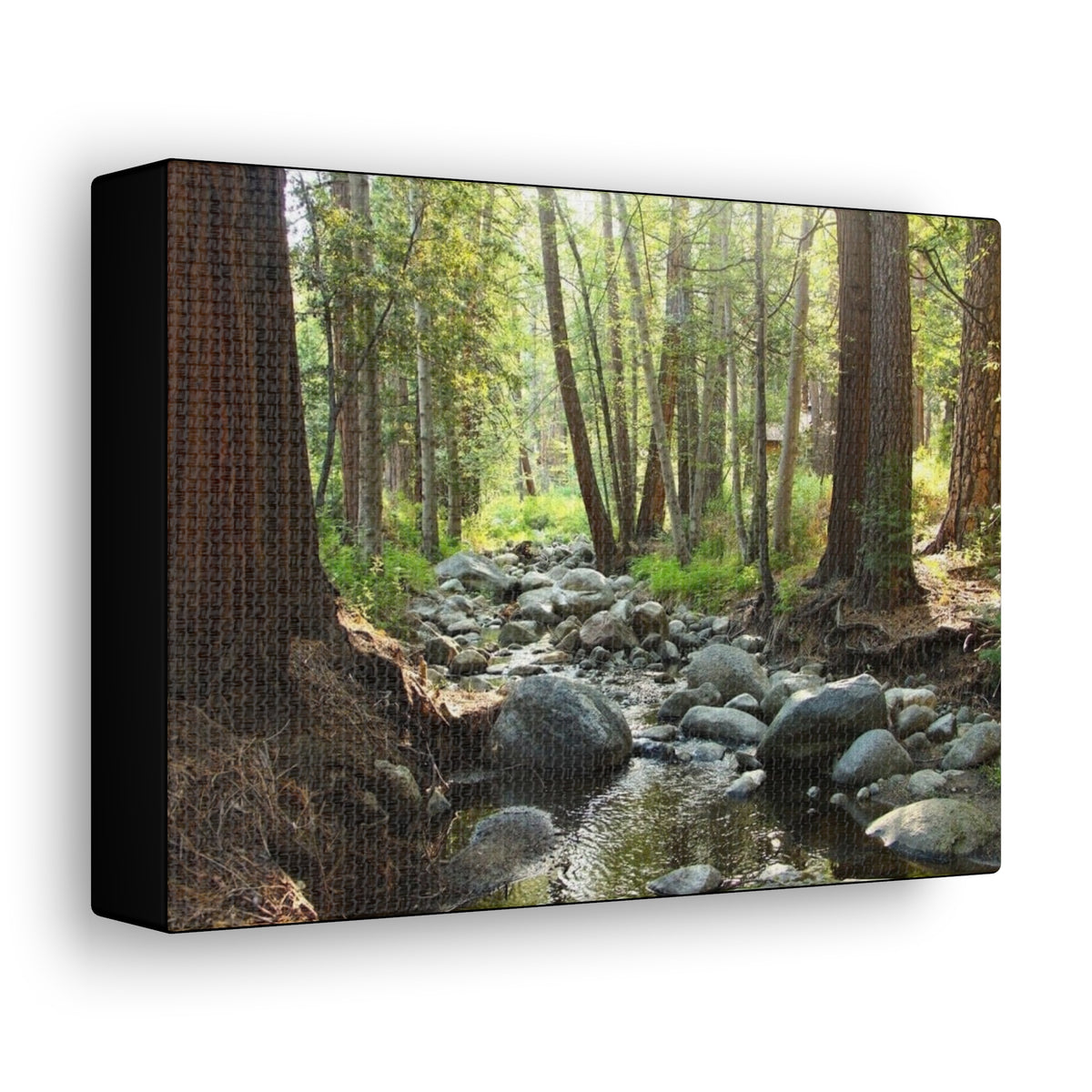 Canvas Gallery Wraps Creek