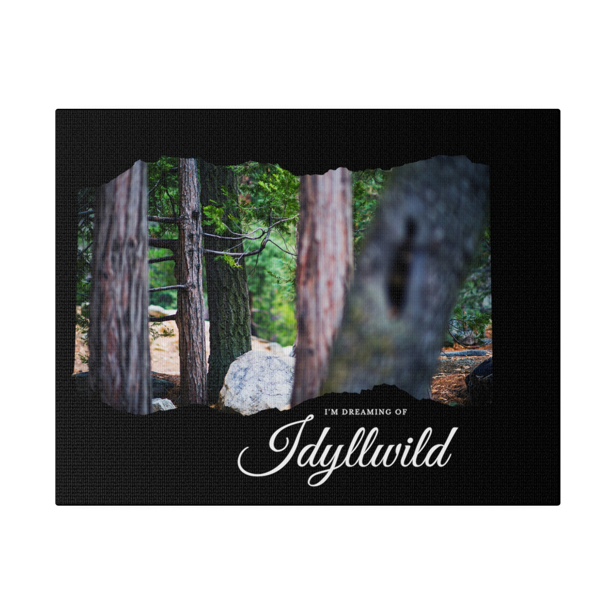 Matte Canvas, Stretched, 0.75" Dreaming of FOrest