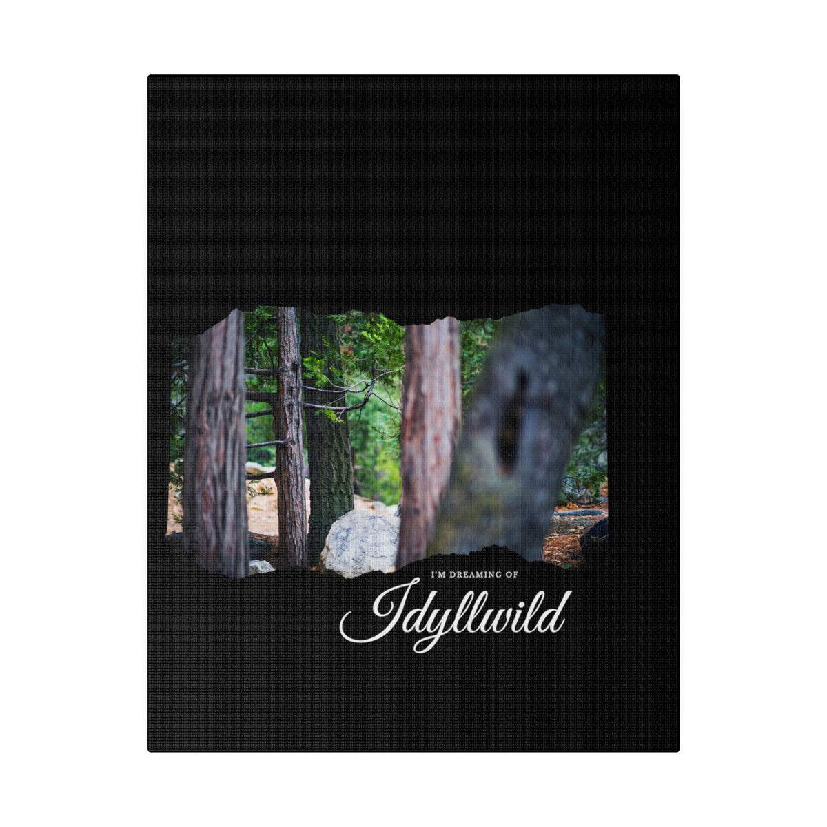 Matte Canvas, Stretched, 0.75" Dreaming of FOrest