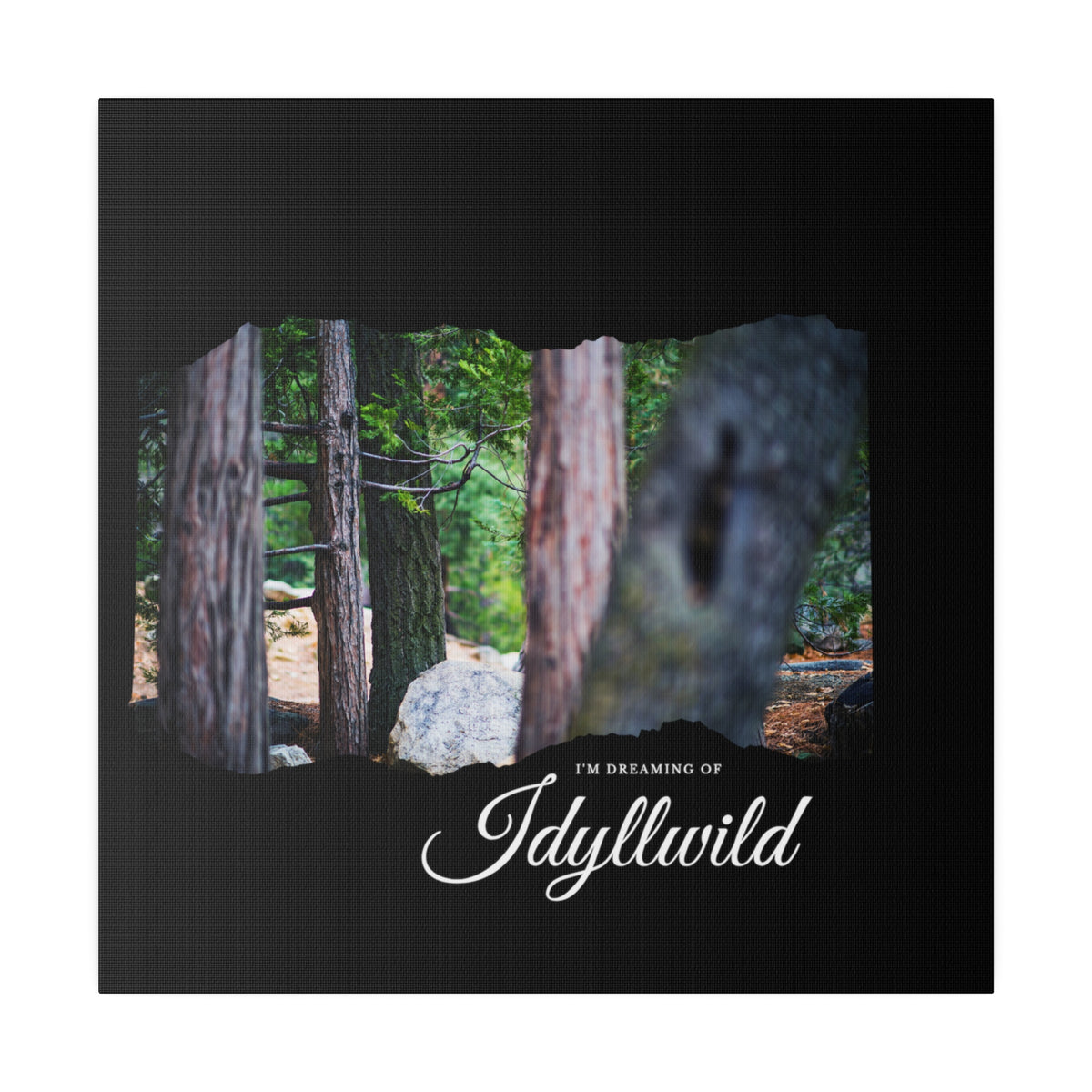 Matte Canvas, Stretched, 0.75" Dreaming of FOrest
