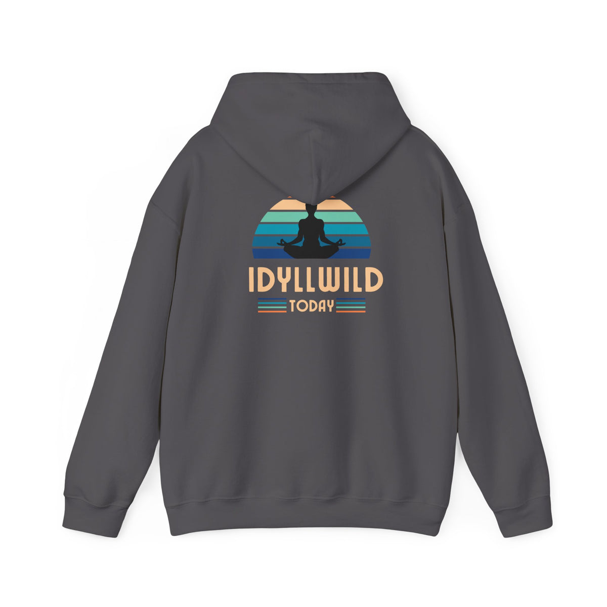 Idyllwild Yoga today Hoodie