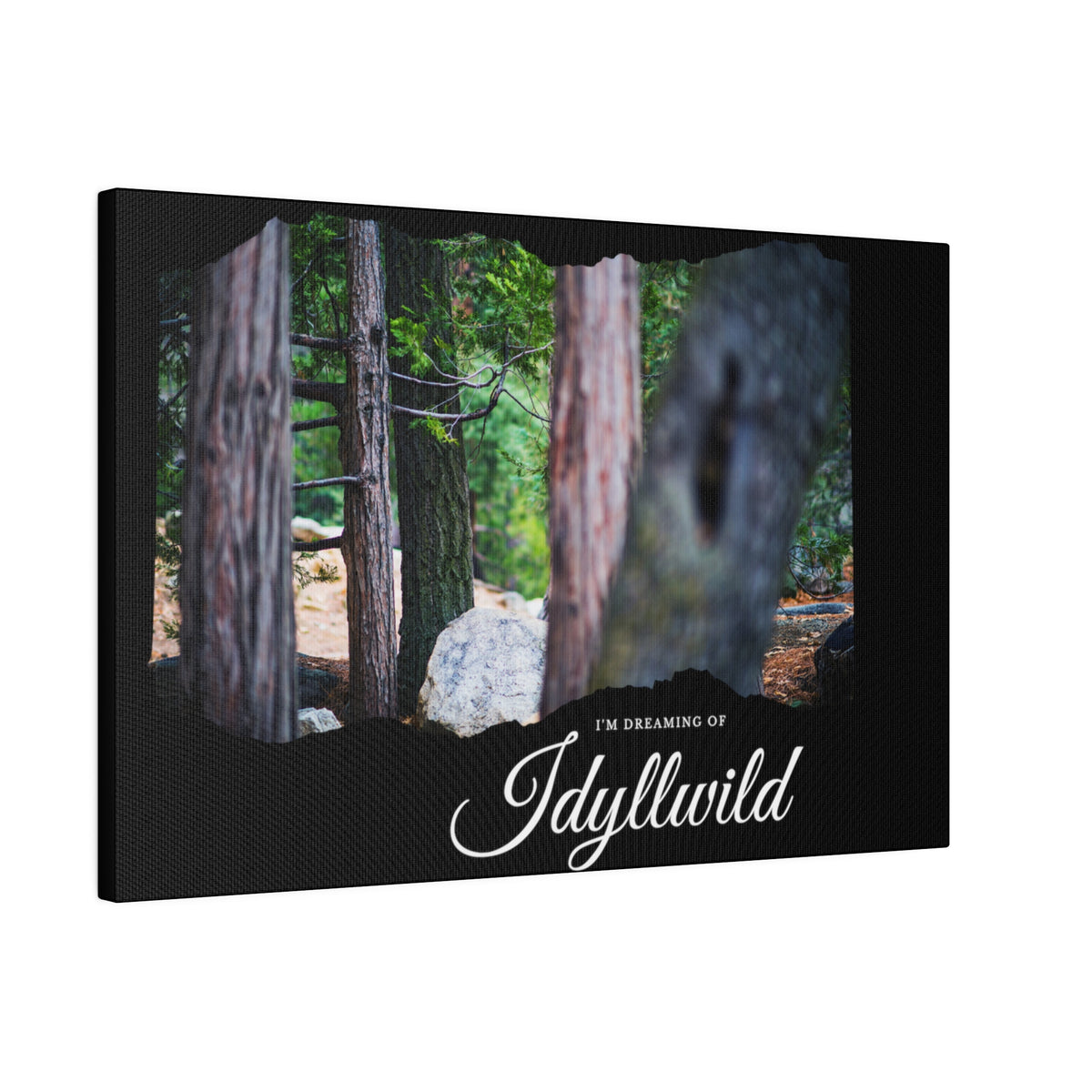 Matte Canvas, Stretched, 0.75" Dreaming of FOrest