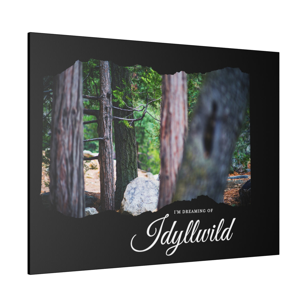 Matte Canvas, Stretched, 0.75" Dreaming of FOrest