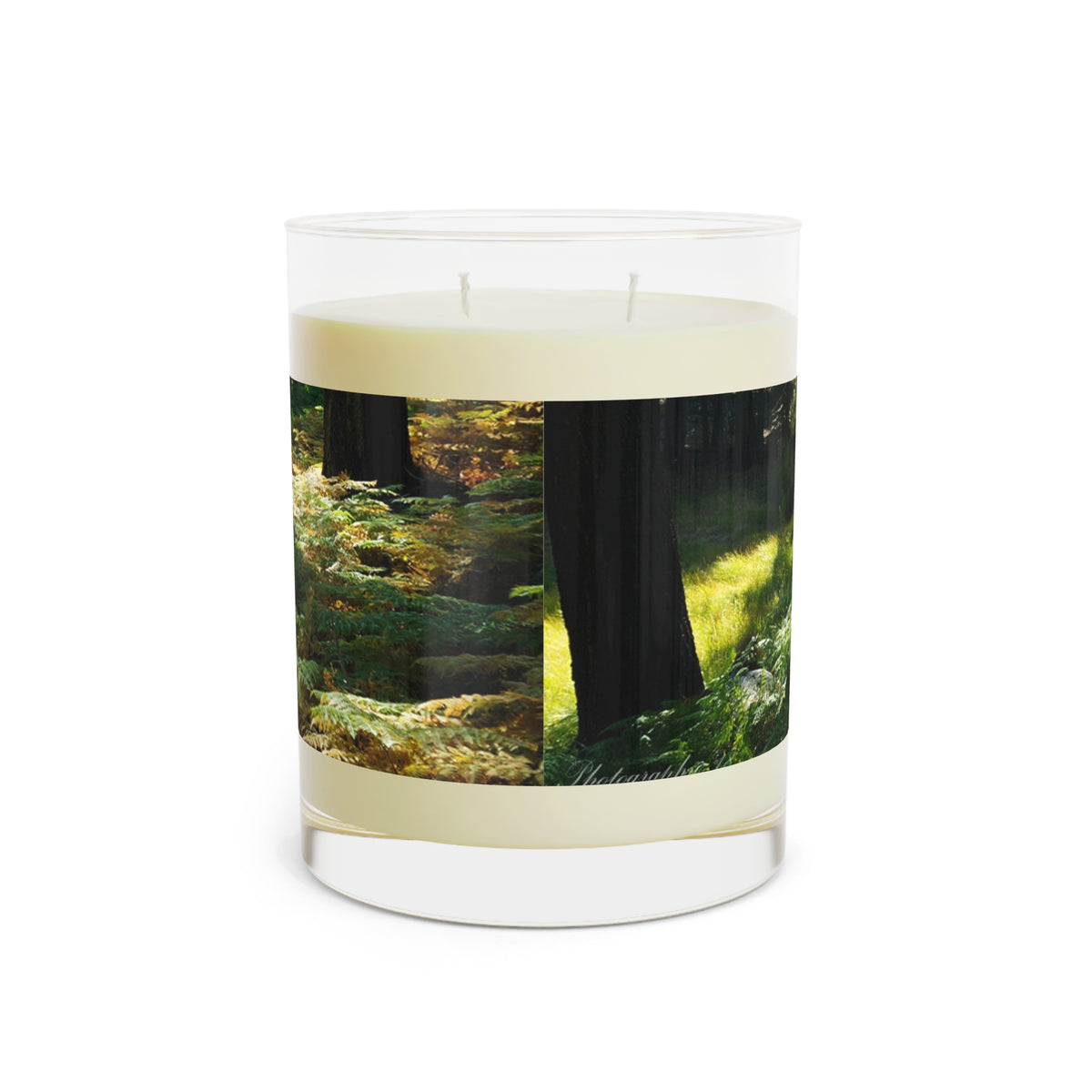 Scented Candle - Full Glass, 11oz Ferns