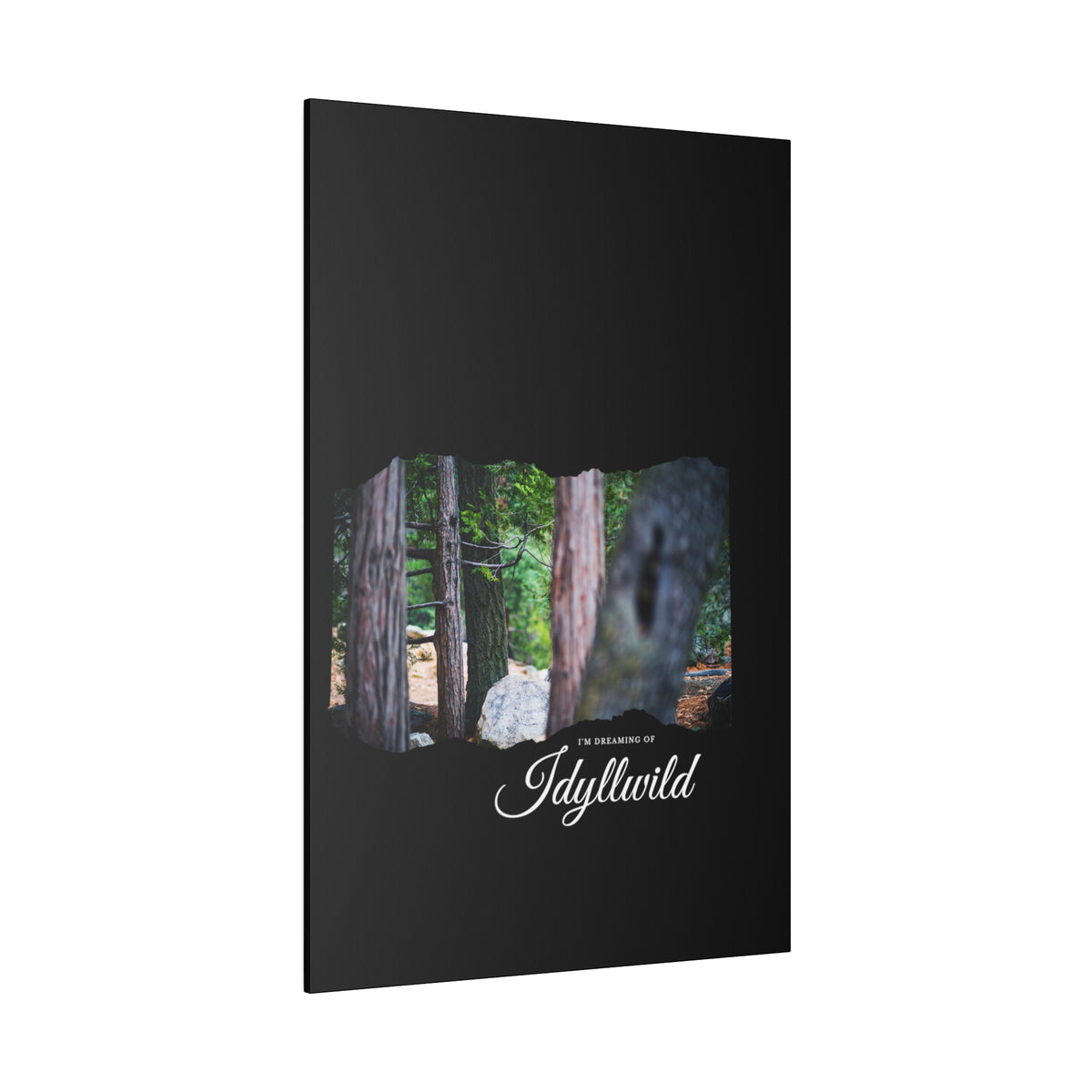 Matte Canvas, Stretched, 0.75" Dreaming of FOrest