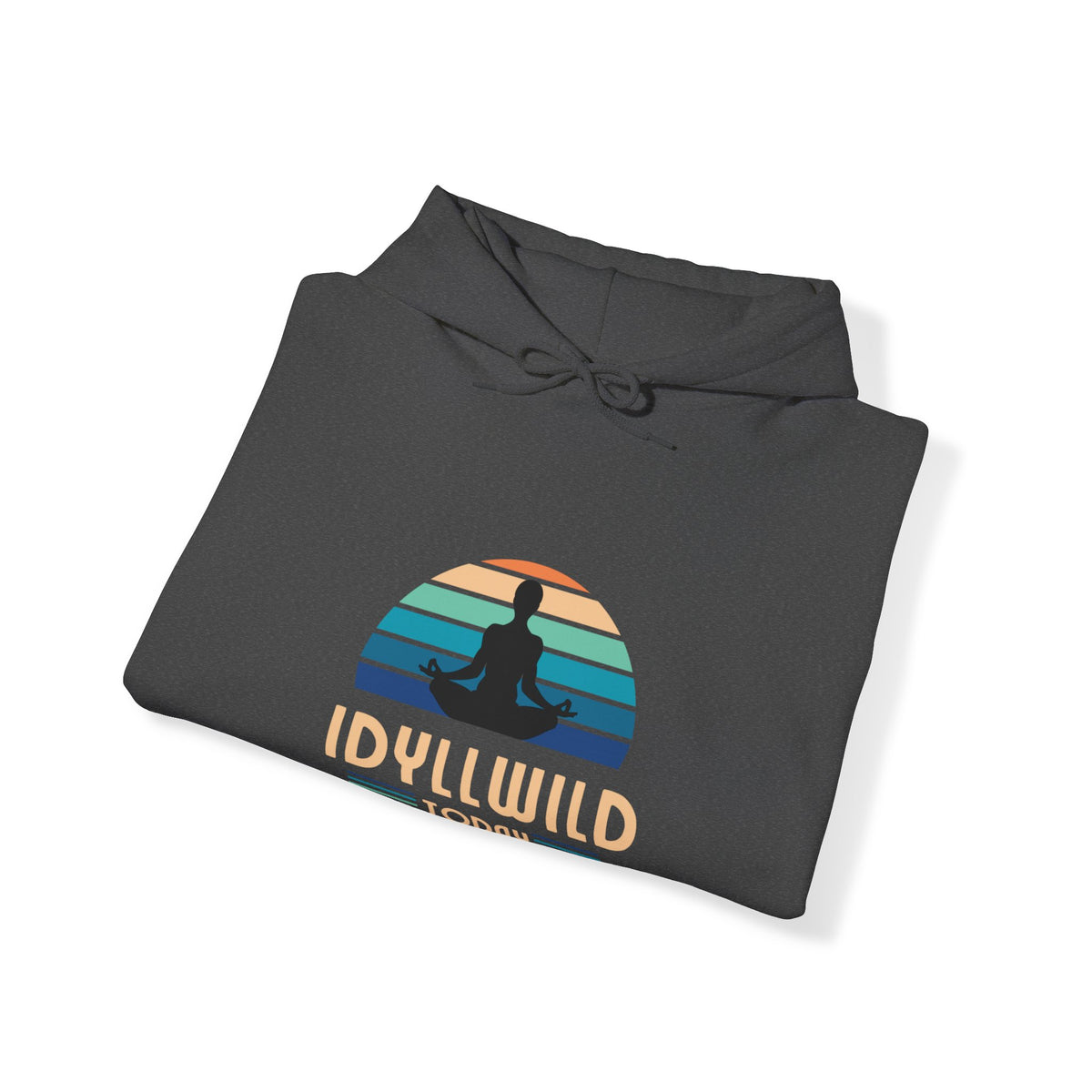 Idyllwild Yoga today Hoodie