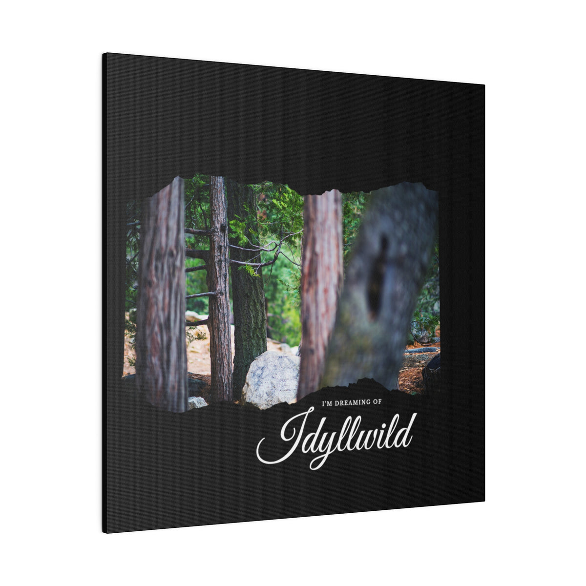 Matte Canvas, Stretched, 0.75" Dreaming of FOrest