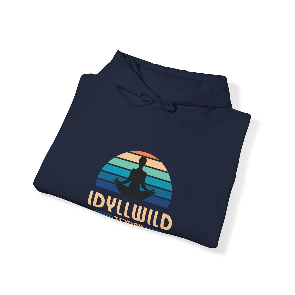 Idyllwild Yoga today Hoodie