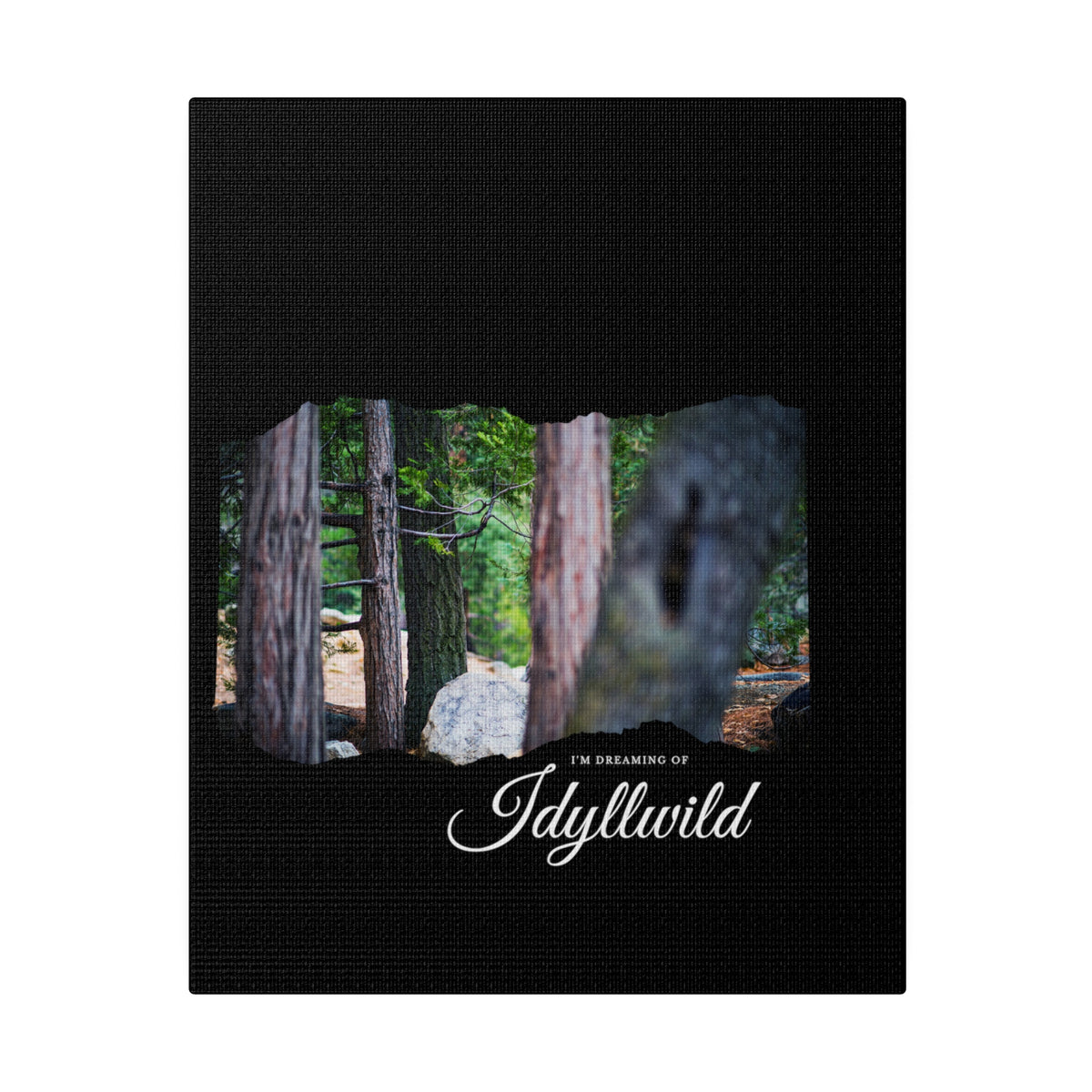 Matte Canvas, Stretched, 0.75" Dreaming of FOrest