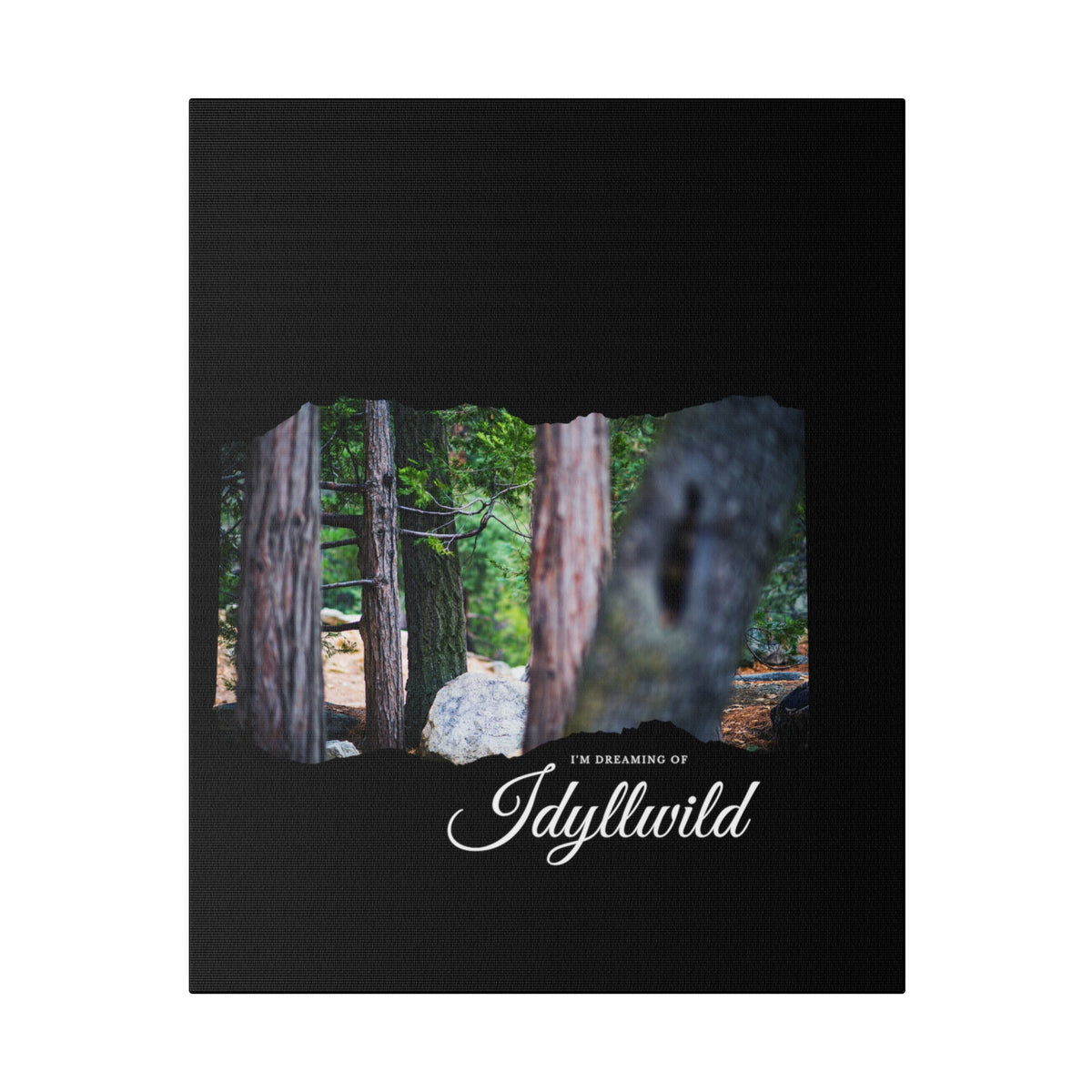 Matte Canvas, Stretched, 0.75" Dreaming of FOrest