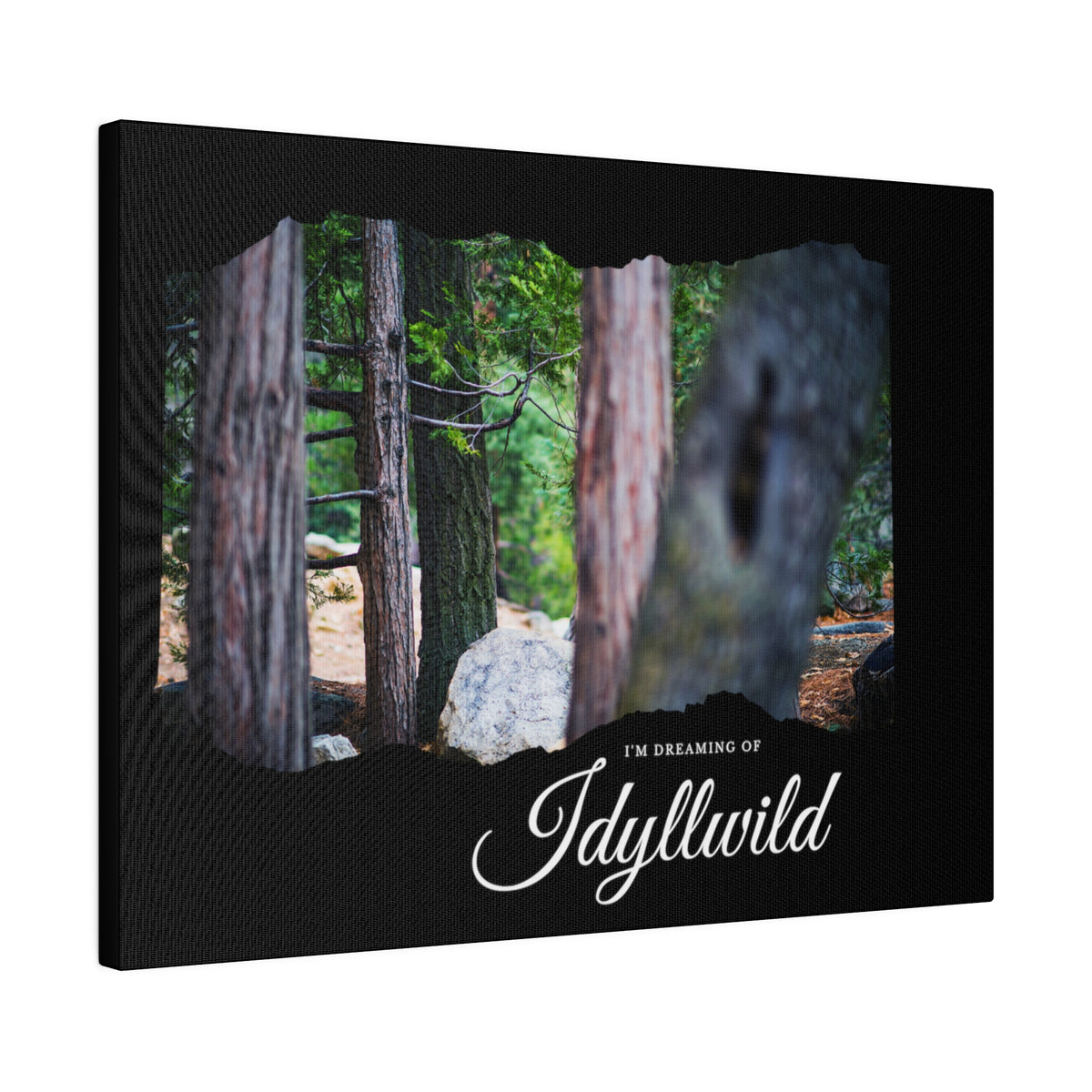 Matte Canvas, Stretched, 0.75" Dreaming of FOrest