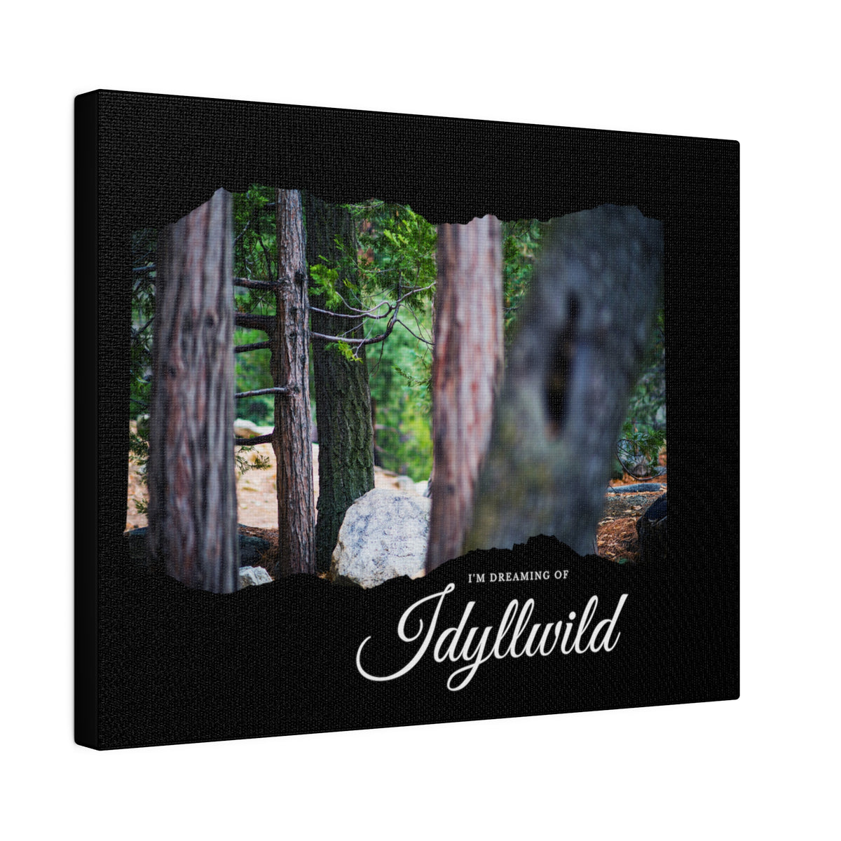 Matte Canvas, Stretched, 0.75" Dreaming of FOrest