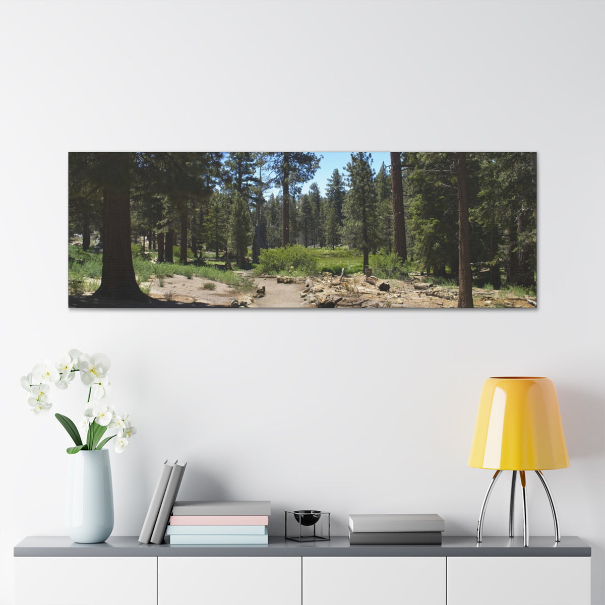 Canvas Gallery Wraps Forest