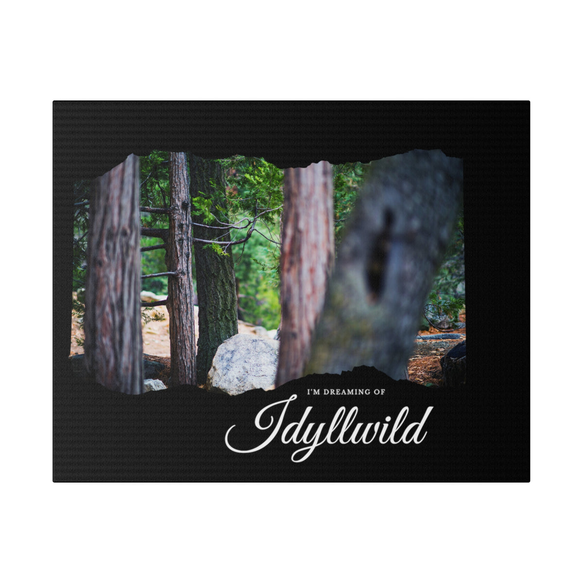 Matte Canvas, Stretched, 0.75" Dreaming of FOrest