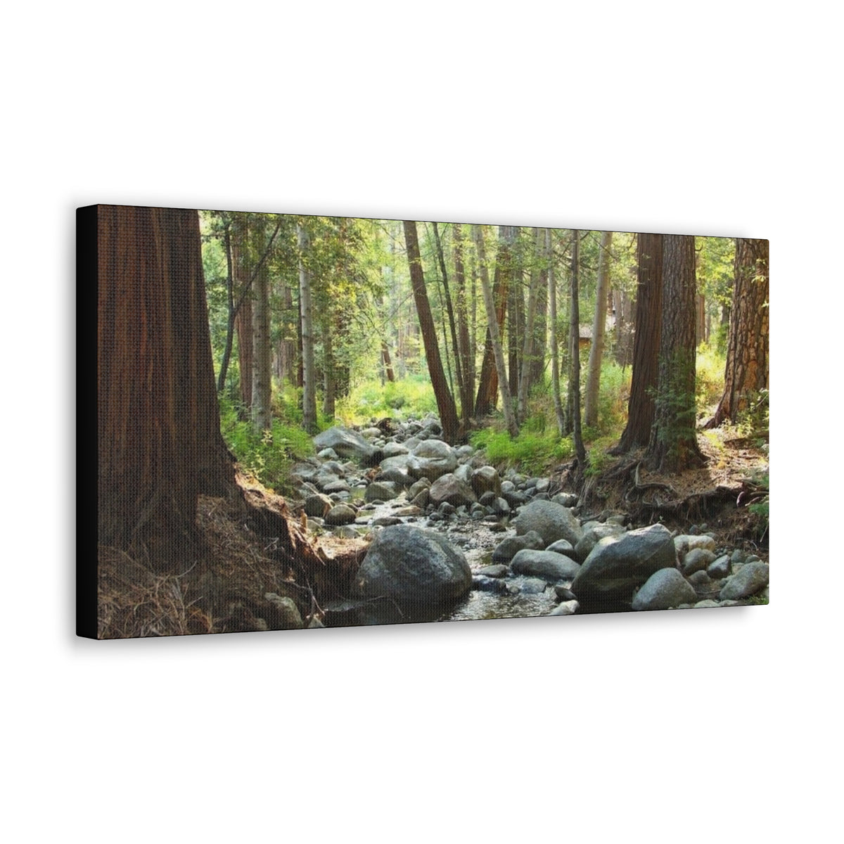 Canvas Gallery Wraps Creek