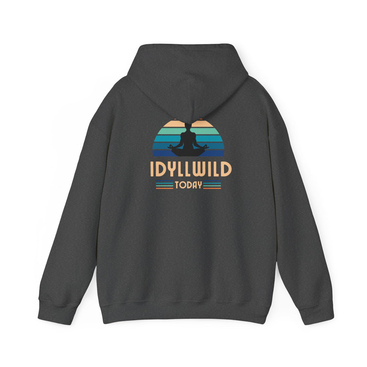 Idyllwild Yoga today Hoodie