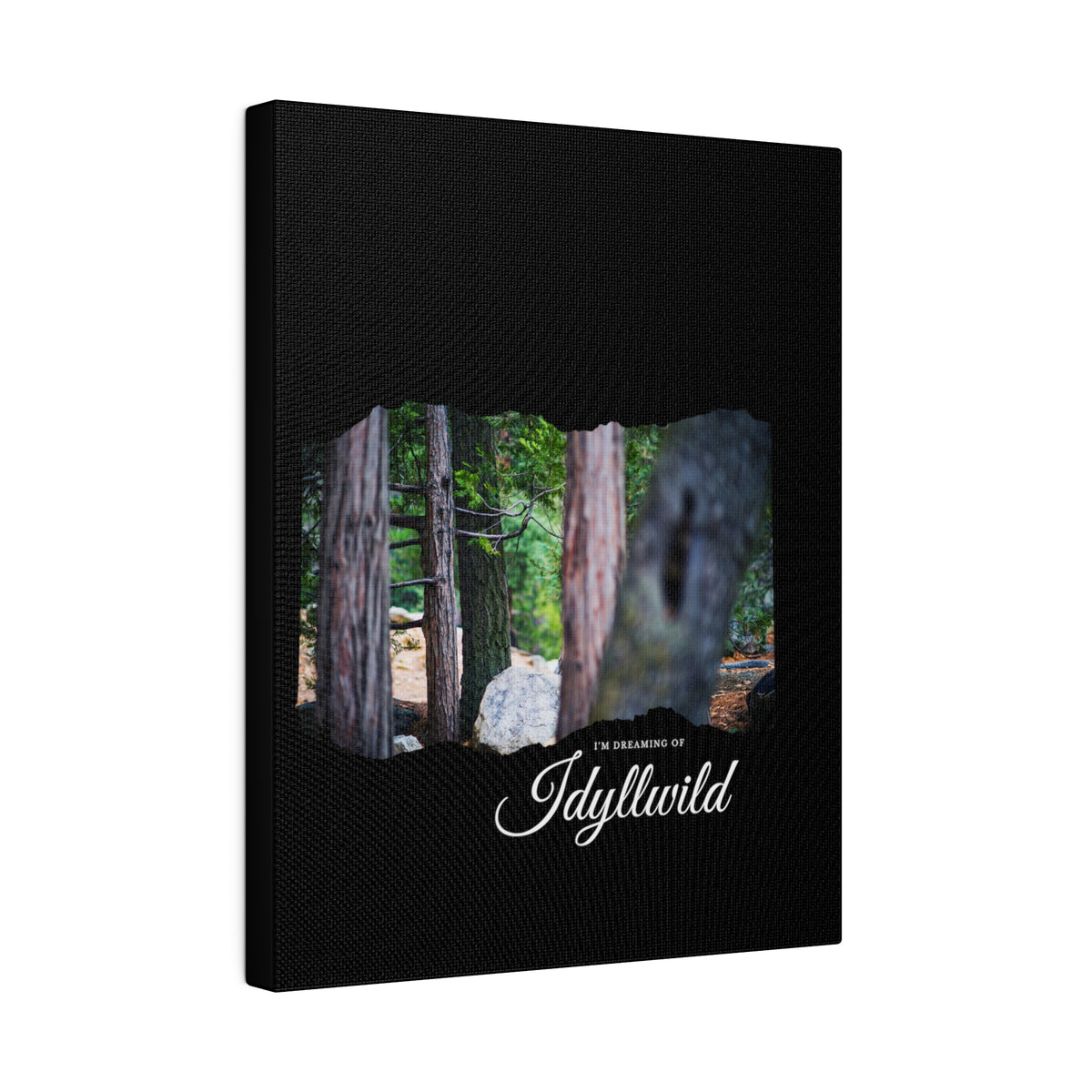 Matte Canvas, Stretched, 0.75" Dreaming of FOrest