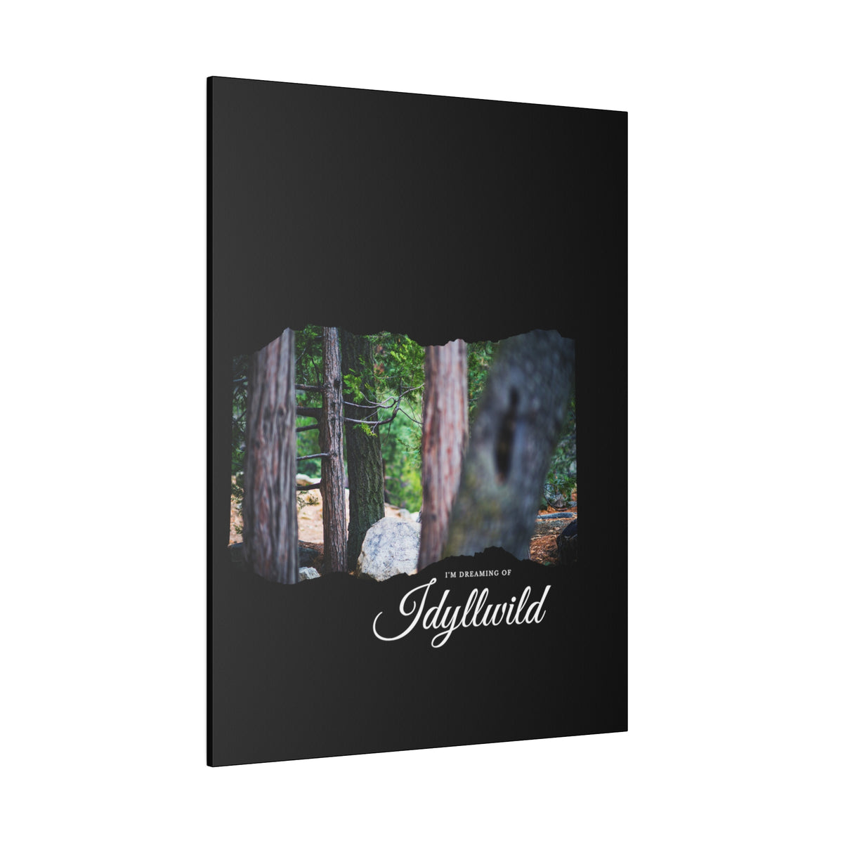 Matte Canvas, Stretched, 0.75" Dreaming of FOrest