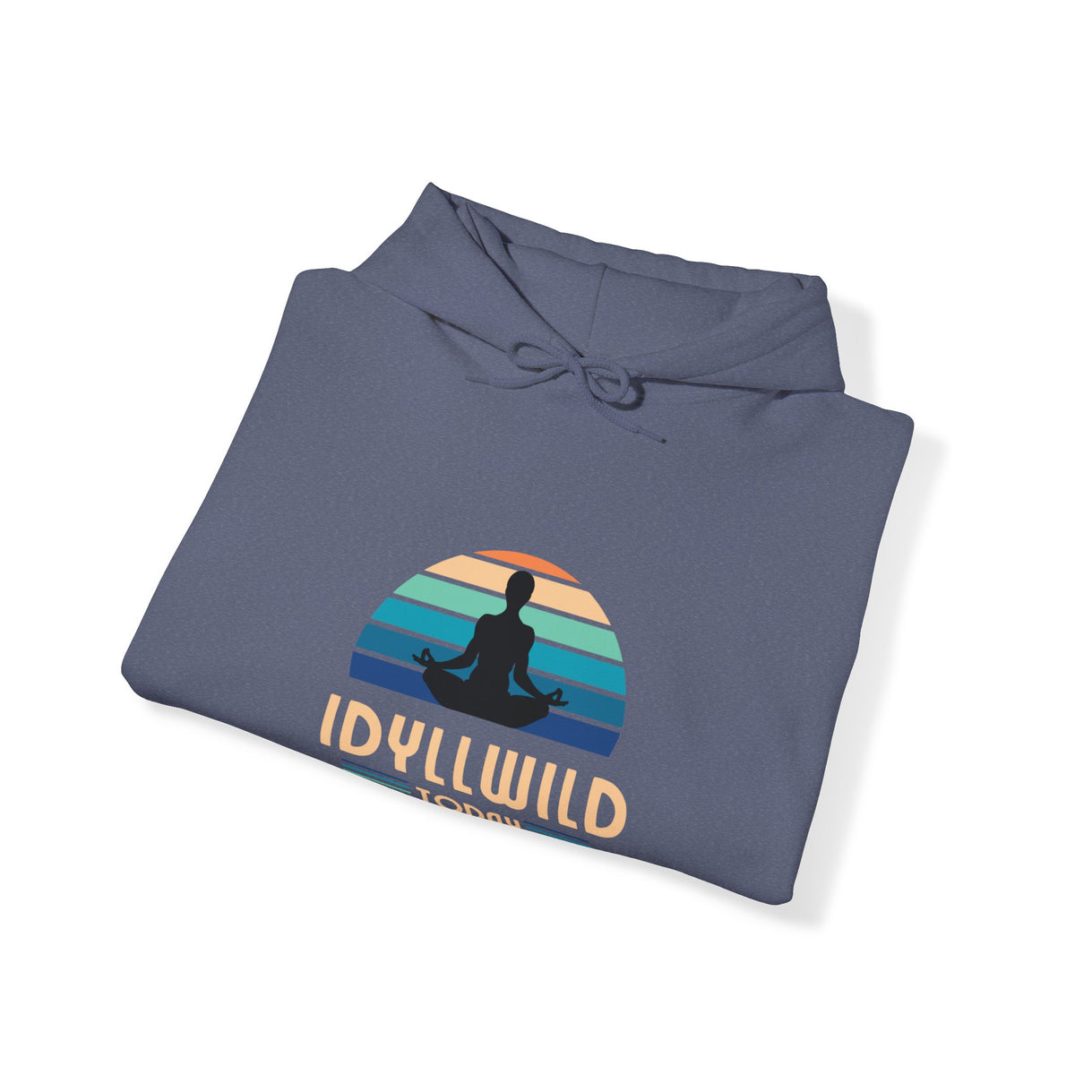 Idyllwild Yoga today Hoodie