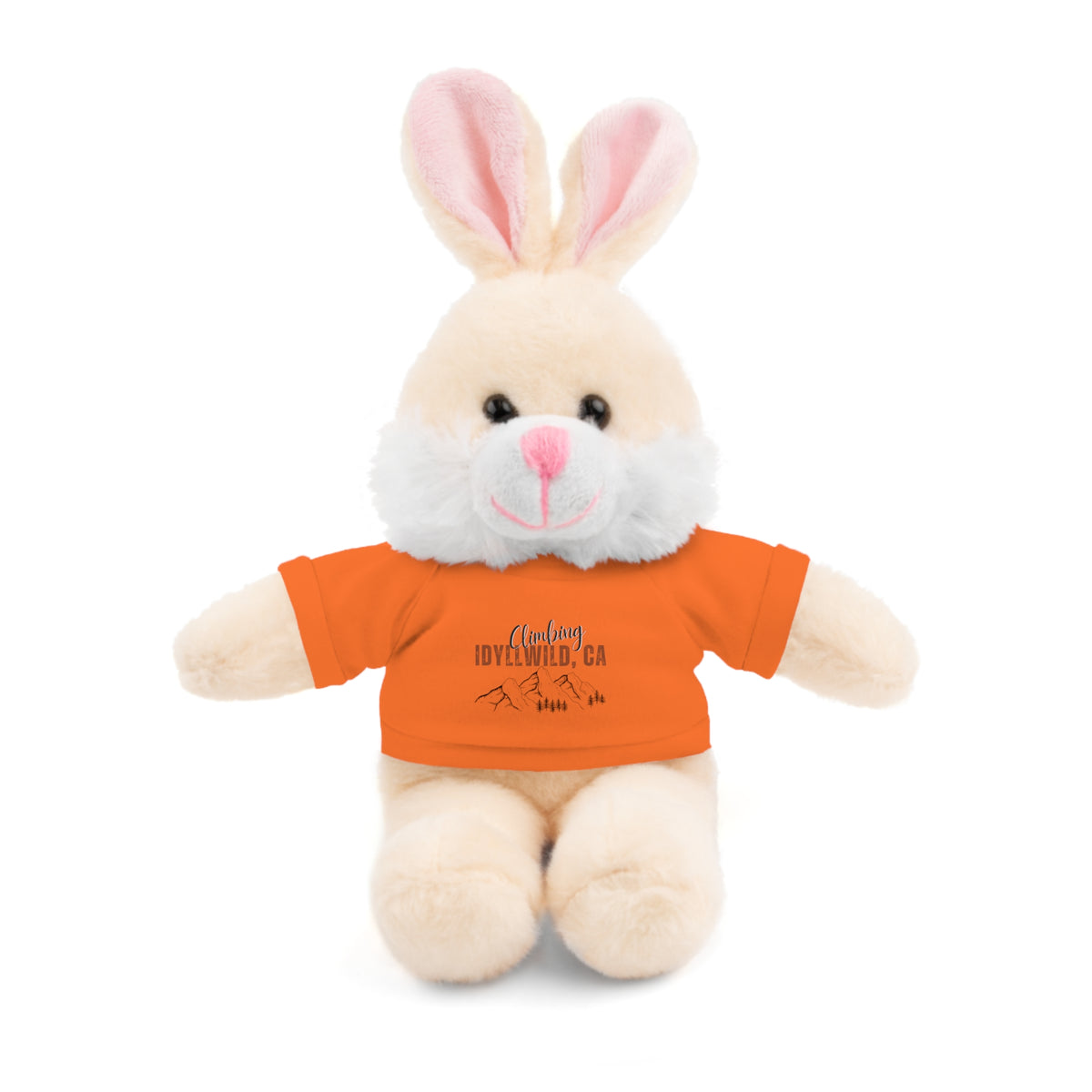 Stuffed Animals with Tee Climbing Idyllwild