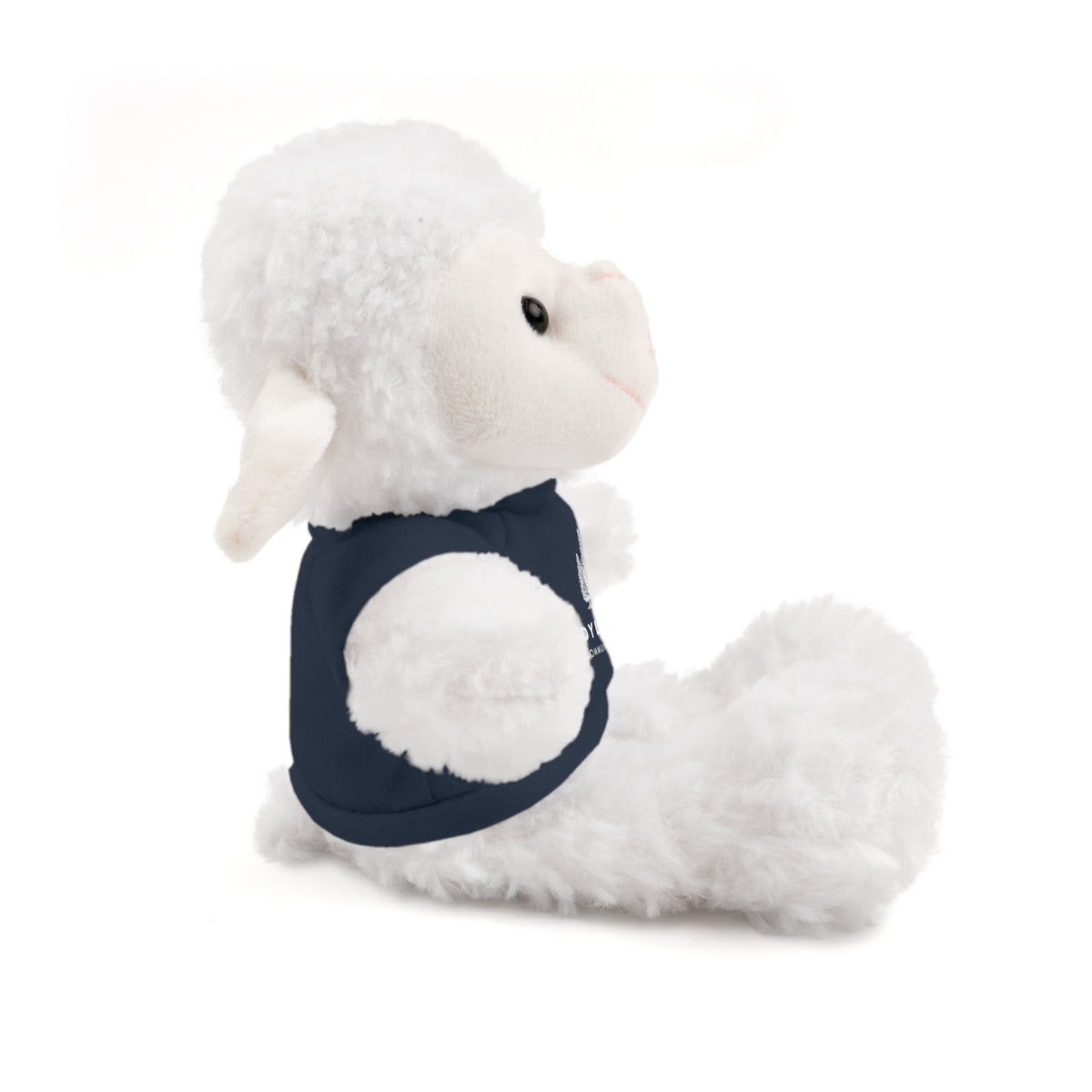 Stuffed Animals with Tee Idyllwild Community