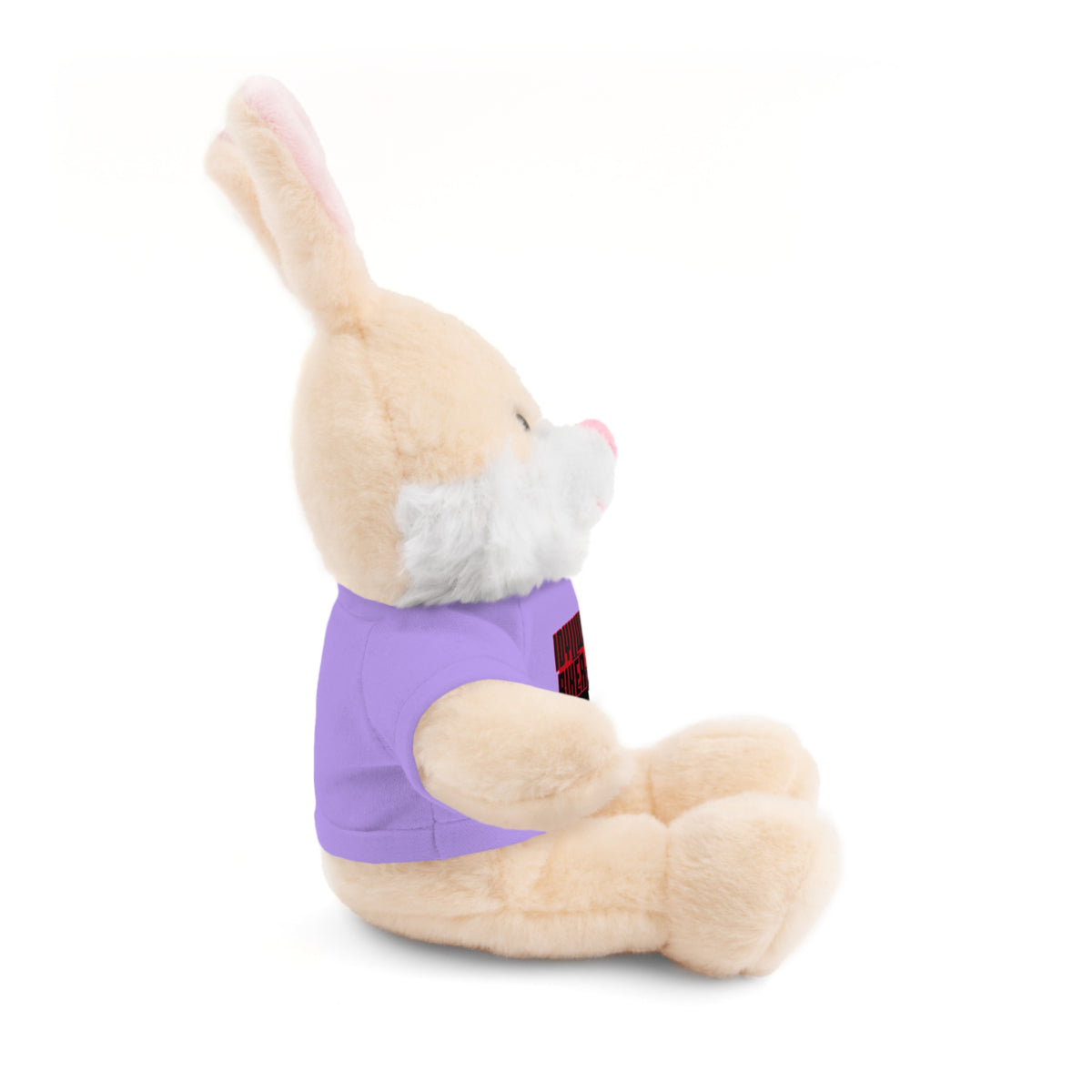 Stuffed Animals with Tee Idyllwild Mountain Biker