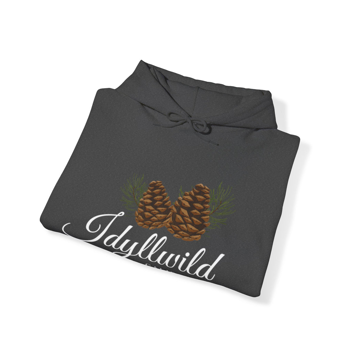 Unisex Heavy Blend™ Hooded Sweatshirt Idyllwild Classy Couple of Cones