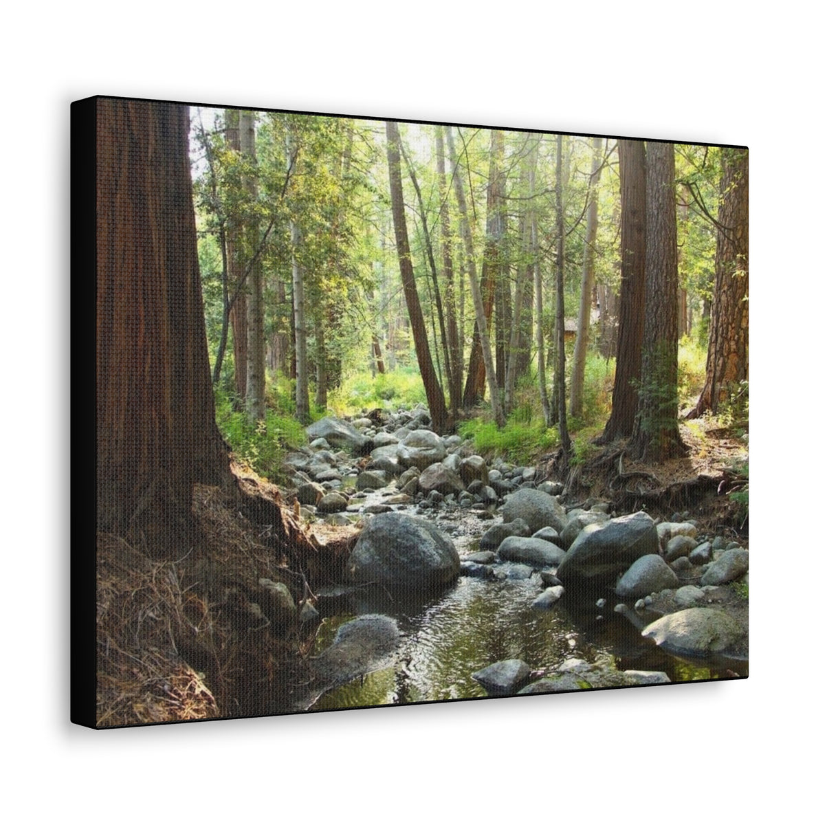 Canvas Gallery Wraps Creek