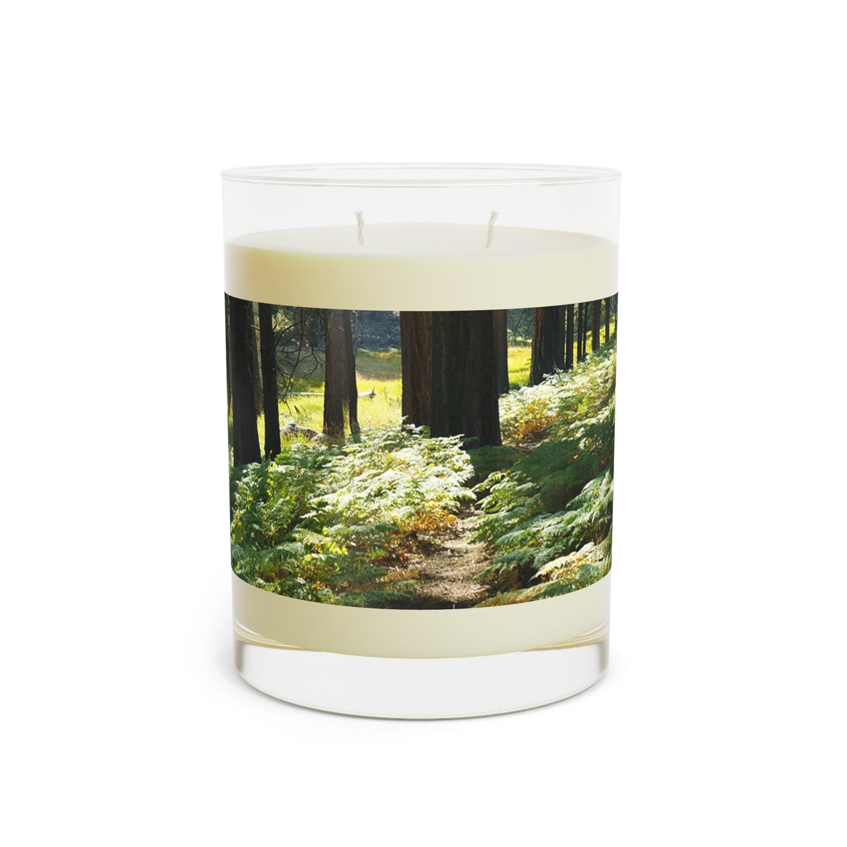 Scented Candle - Full Glass, 11oz Ferns