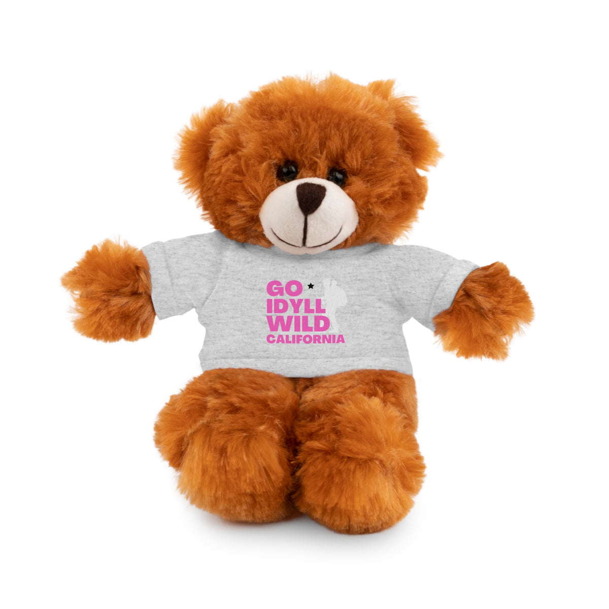Stuffed Animals with Tee Mama Hike Idyllwild