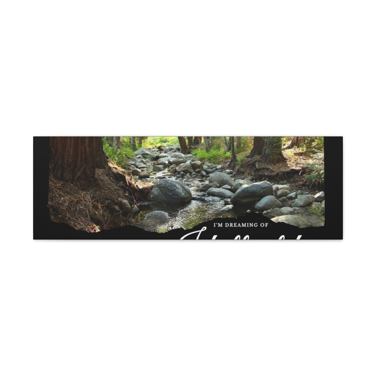 Canvas Gallery Wraps Dreaming of Creek