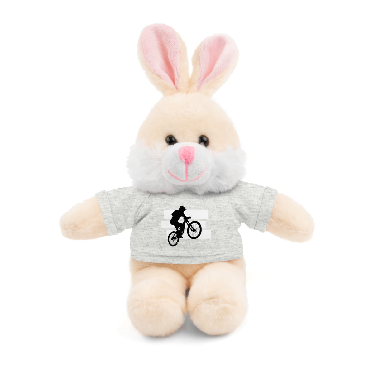 Stuffed Animals with Tee Bike Idyllwild