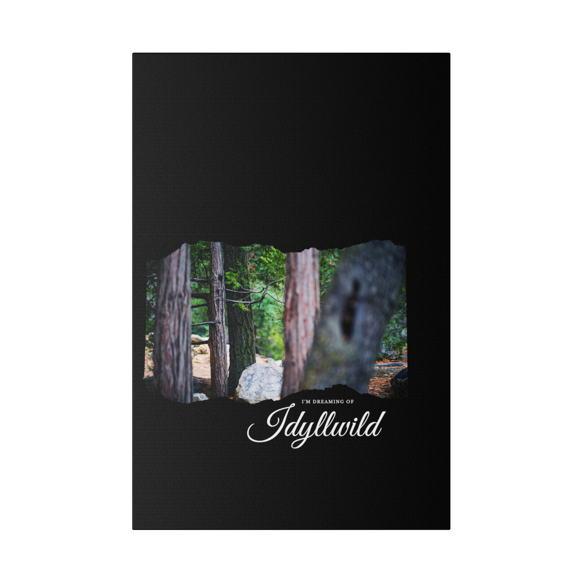Matte Canvas, Stretched, 0.75" Dreaming of FOrest