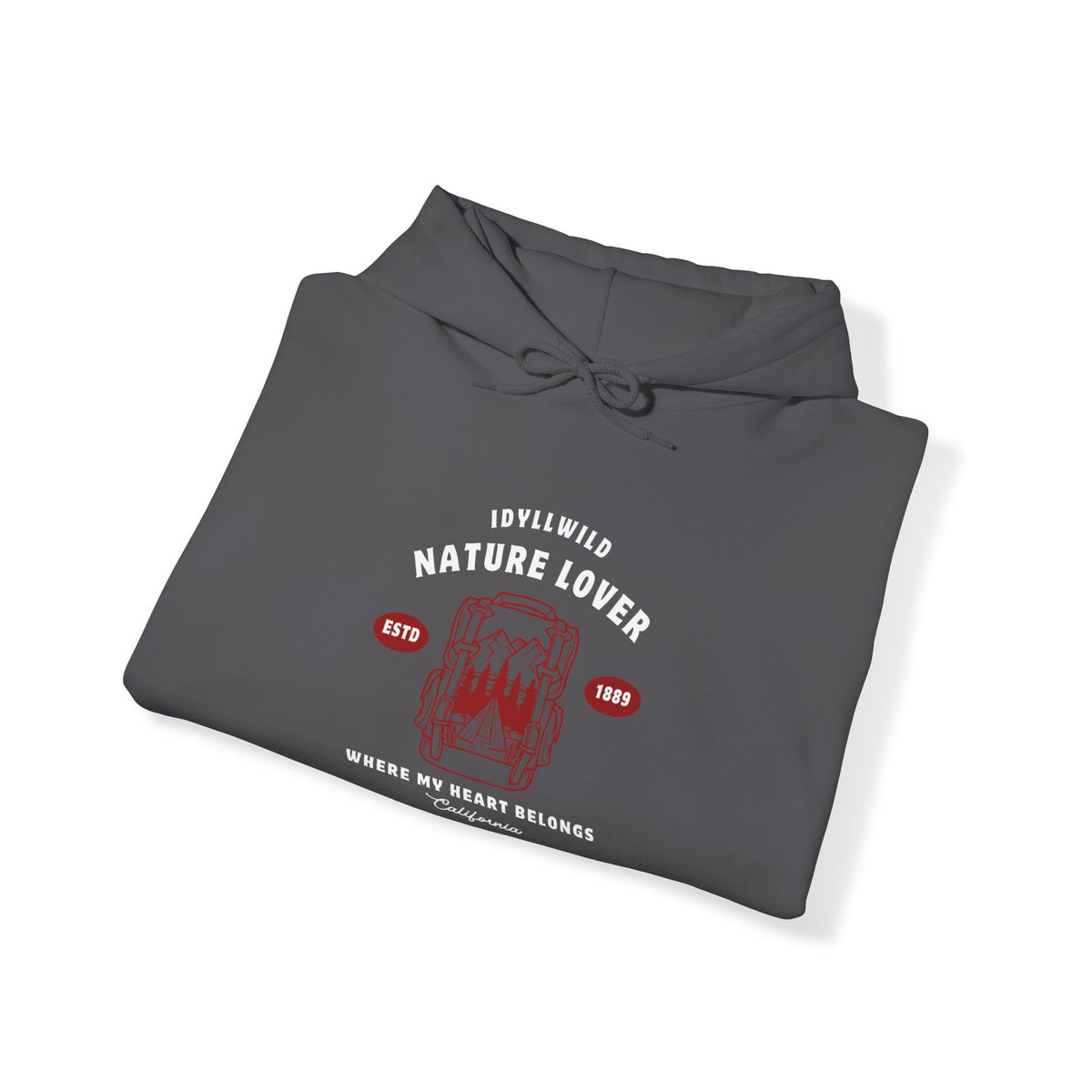 Idyllwild Nature Lover Established Red Letter Hoodie