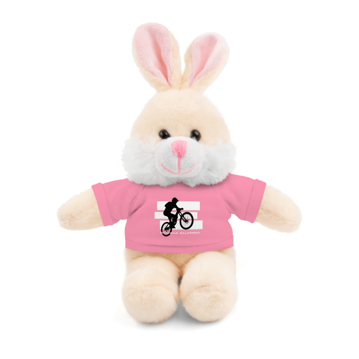 Stuffed Animals with Tee Bike Idyllwild