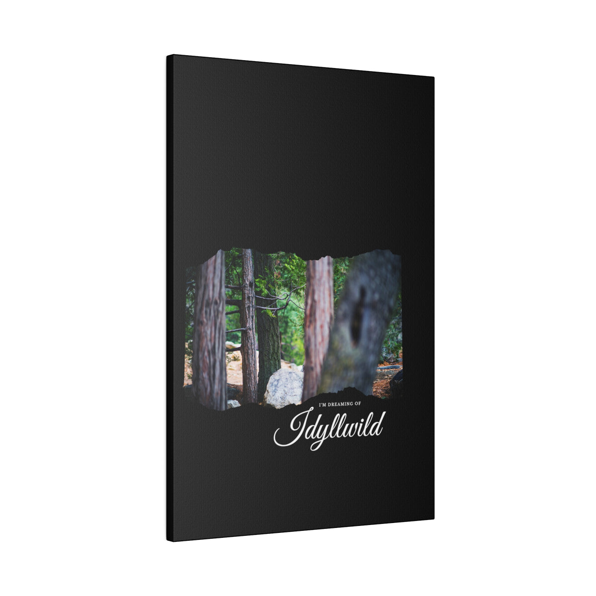 Matte Canvas, Stretched, 0.75" Dreaming of FOrest