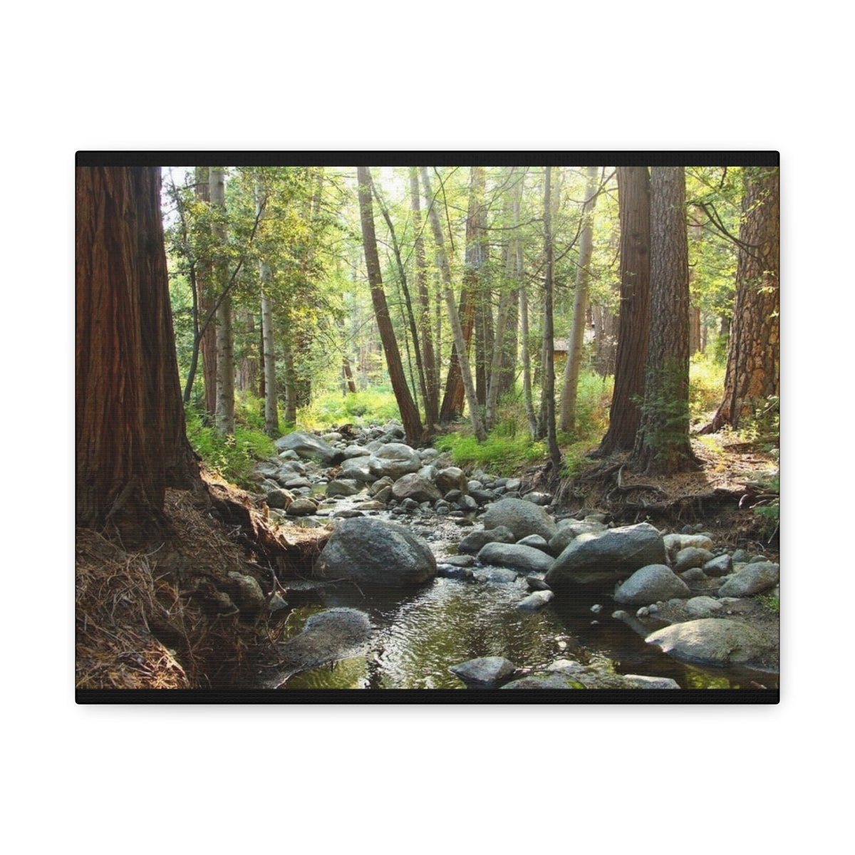 Canvas Gallery Wraps Creek