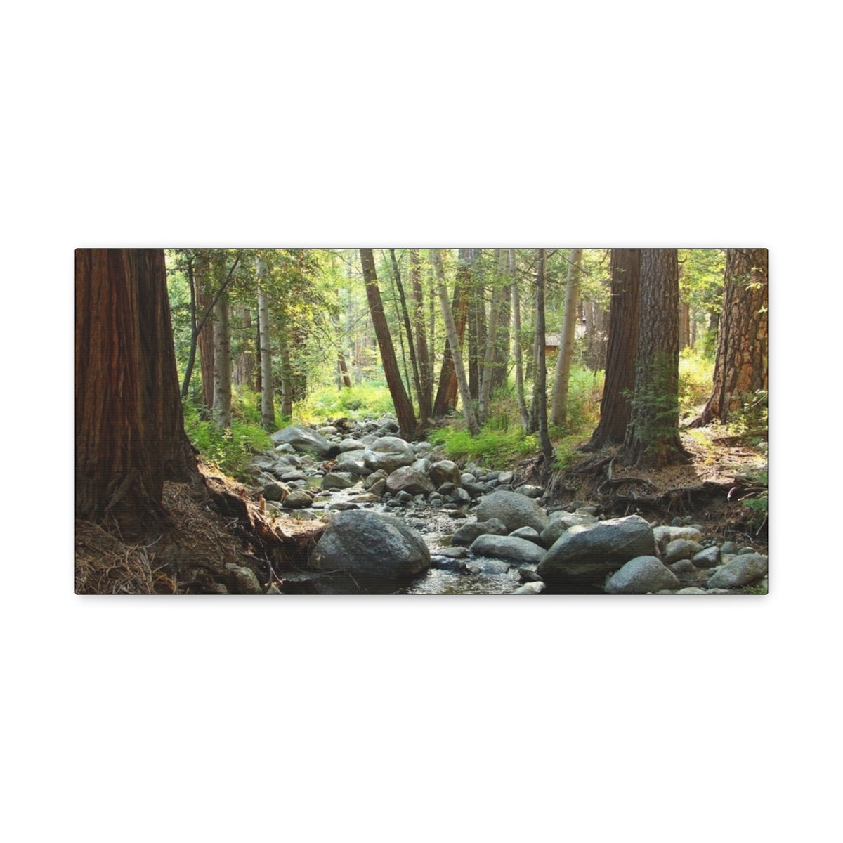 Canvas Gallery Wraps Creek