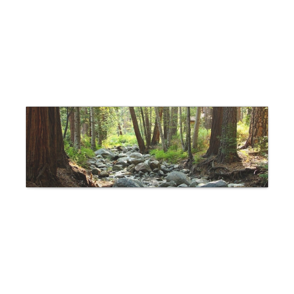 Canvas Gallery Wraps Creek