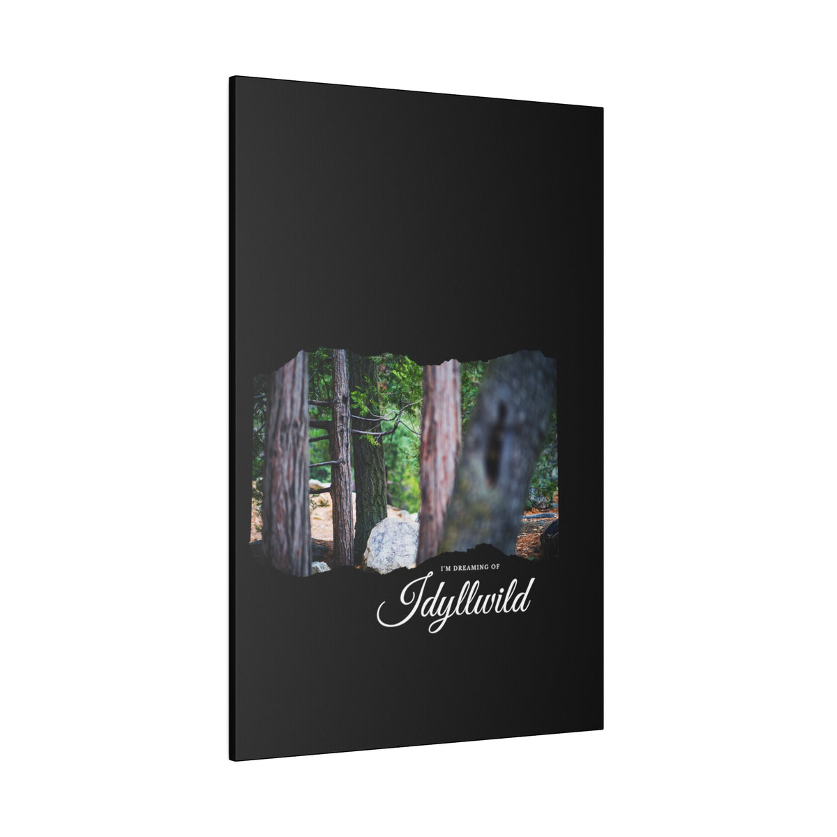 Matte Canvas, Stretched, 0.75" Dreaming of FOrest