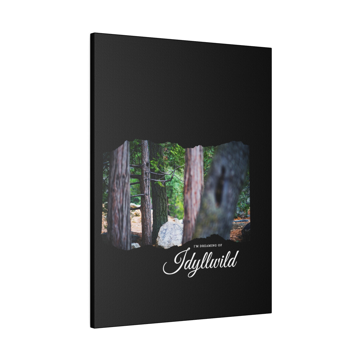 Matte Canvas, Stretched, 0.75" Dreaming of FOrest