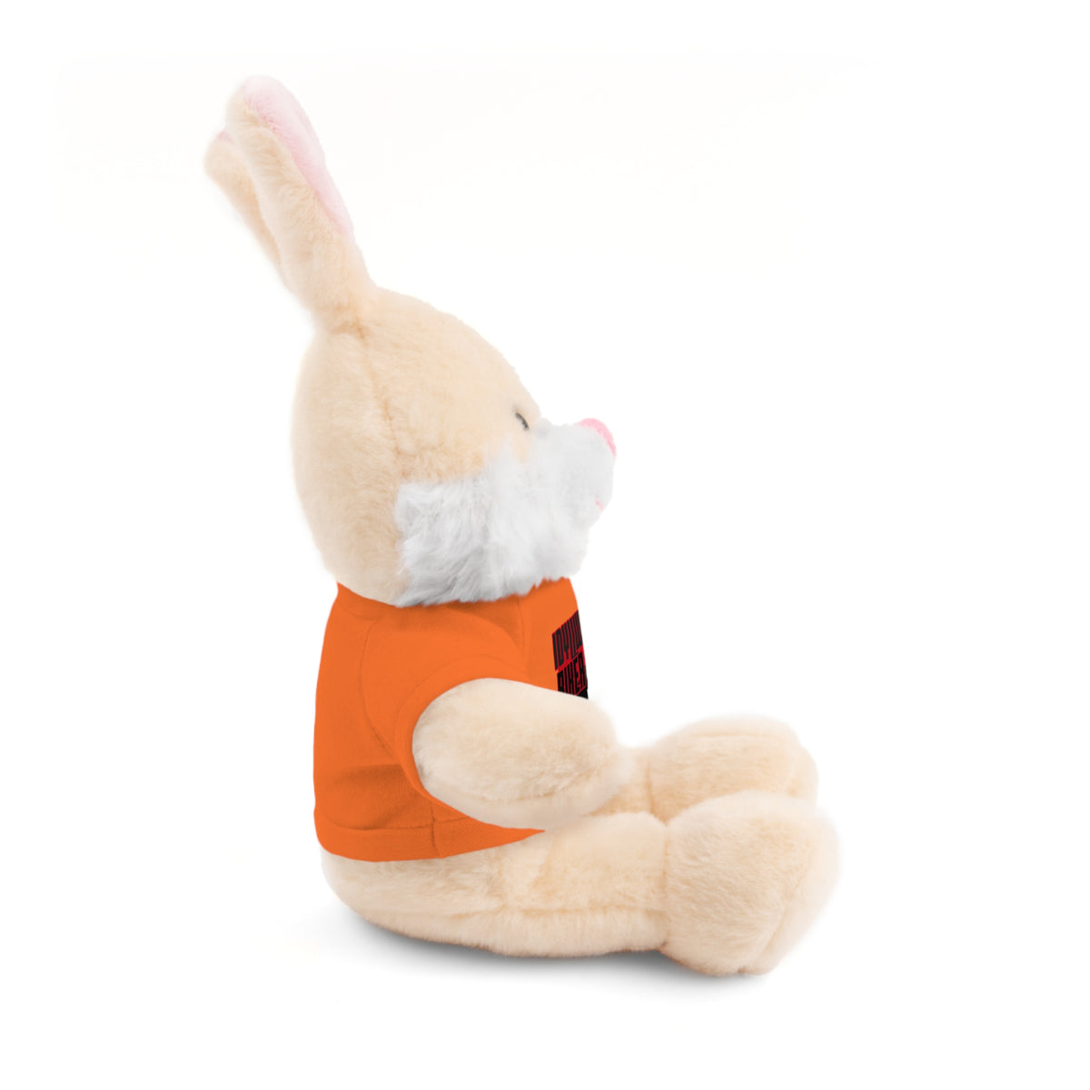 Stuffed Animals with Tee Idyllwild Mountain Biker