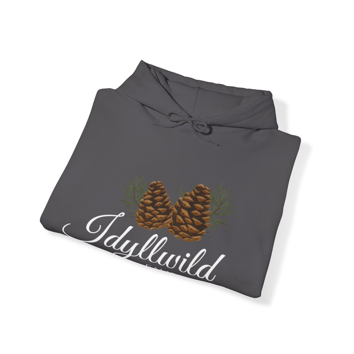 Unisex Heavy Blend™ Hooded Sweatshirt Idyllwild Classy Couple of Cones