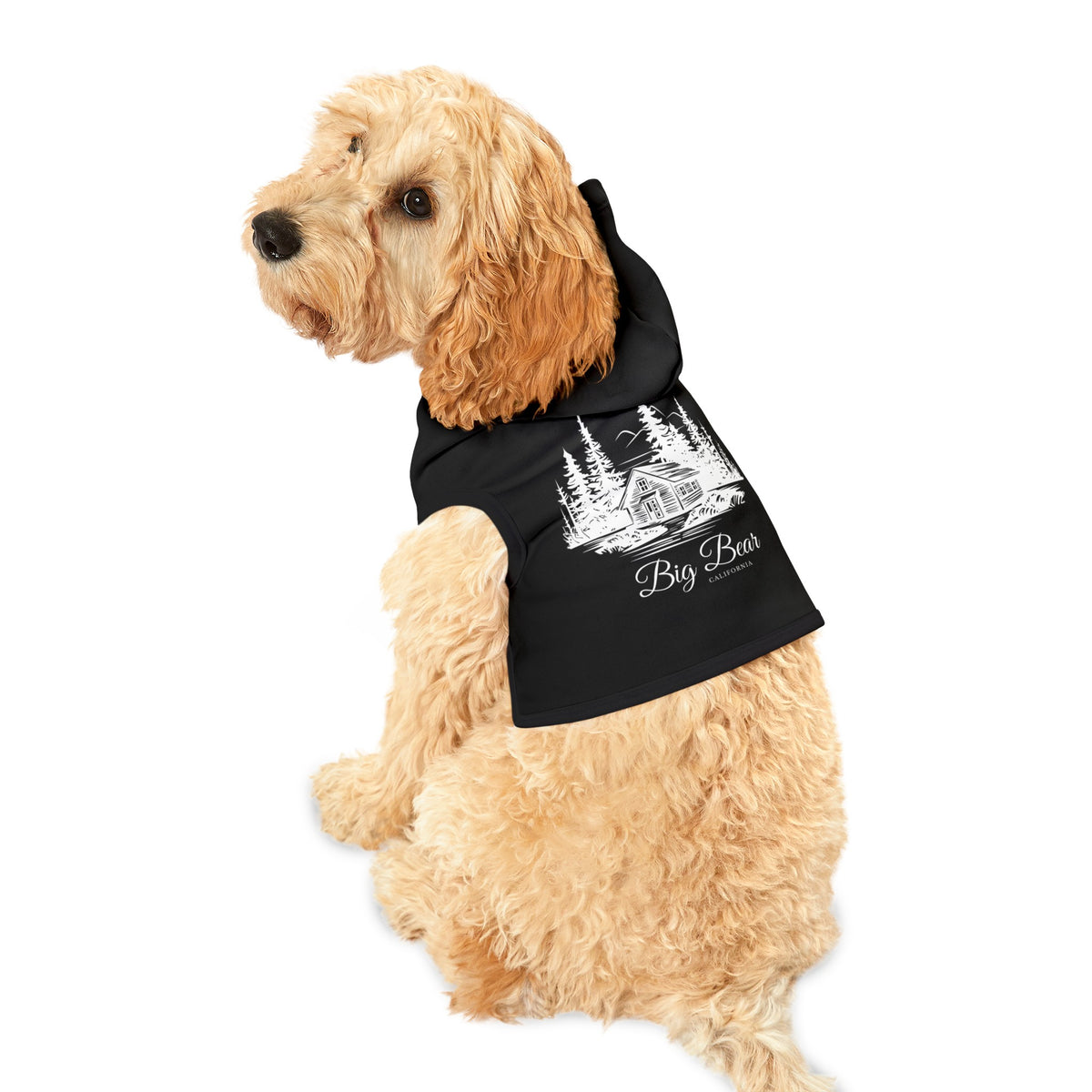 Pet Hoodie Big Bear California Cabin