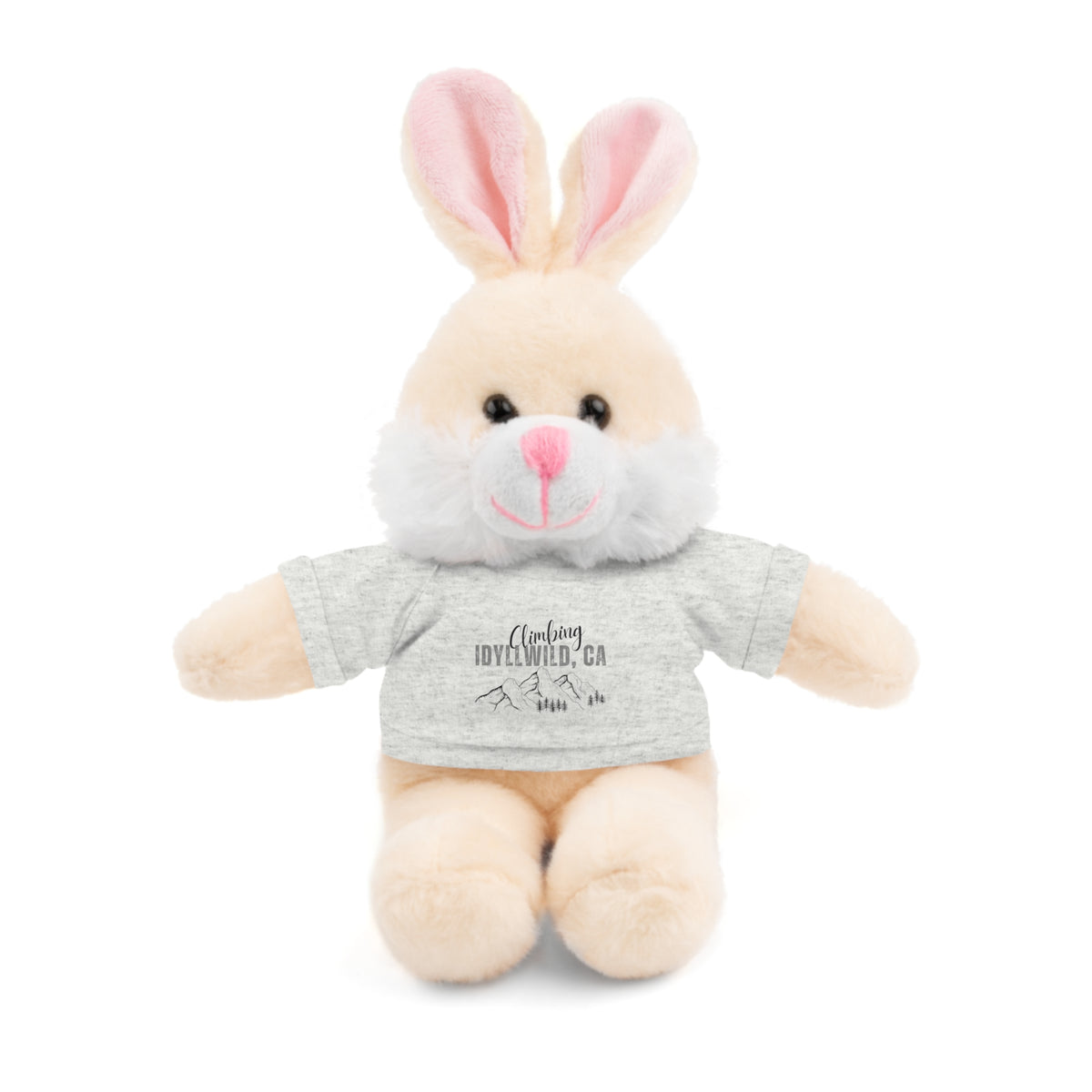 Stuffed Animals with Tee Climbing Idyllwild