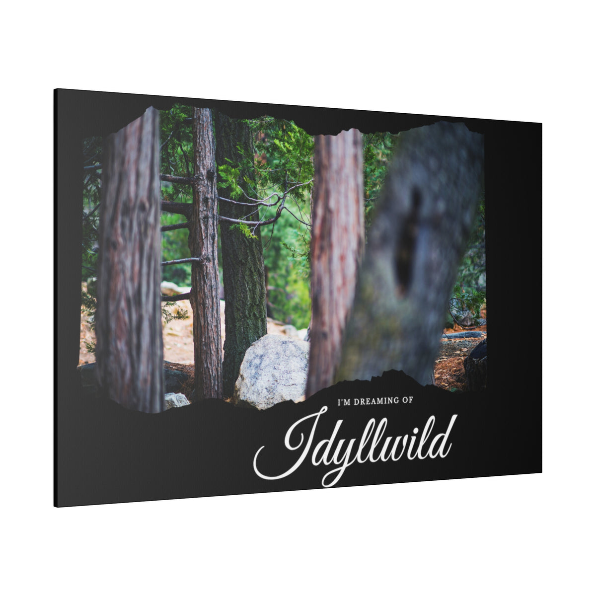 Matte Canvas, Stretched, 0.75" Dreaming of FOrest