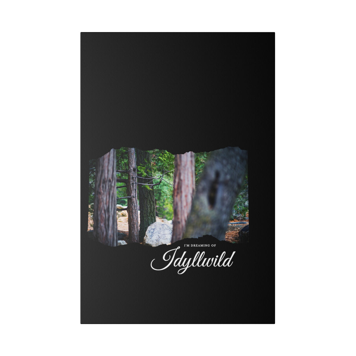 Matte Canvas, Stretched, 0.75" Dreaming of FOrest