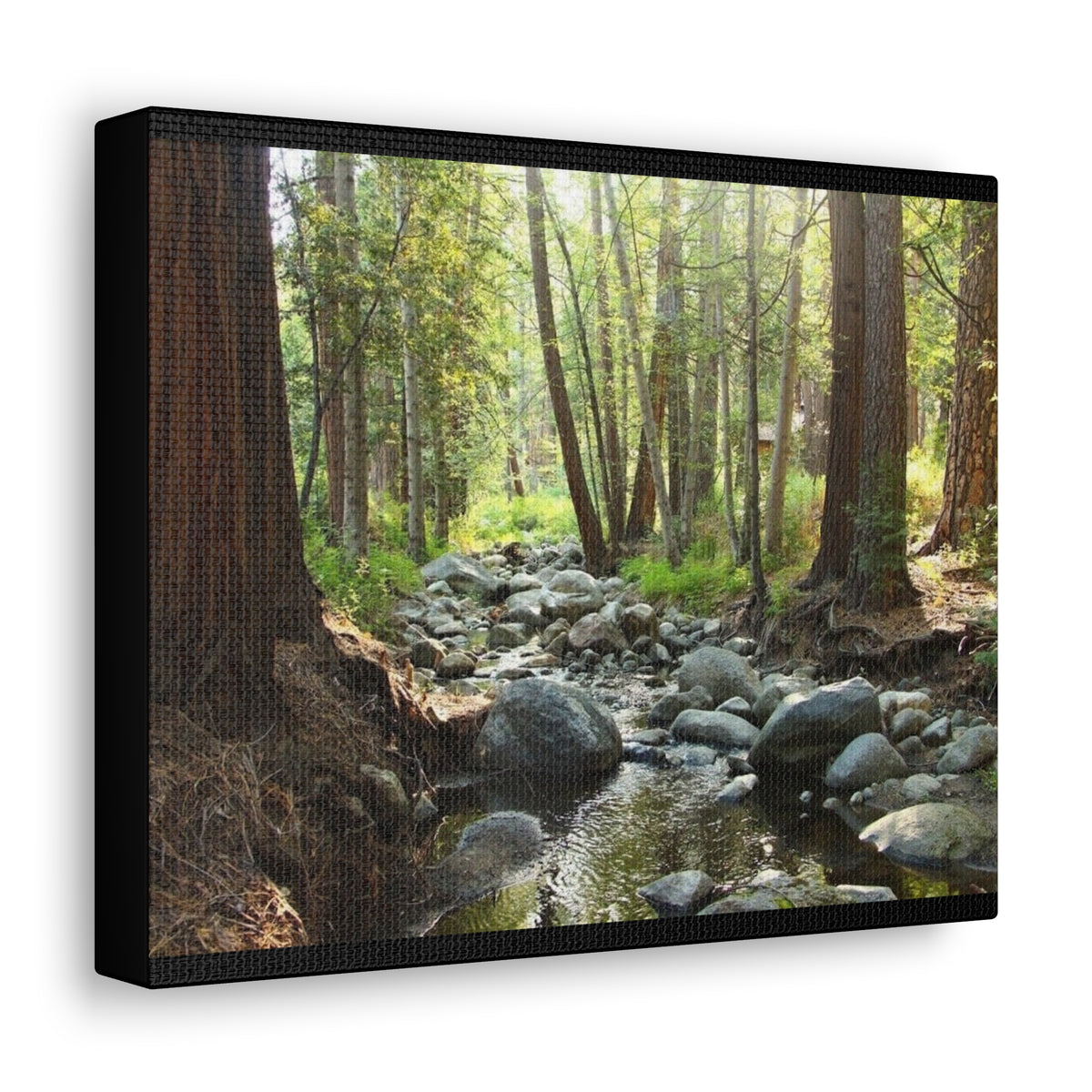 Canvas Gallery Wraps Creek