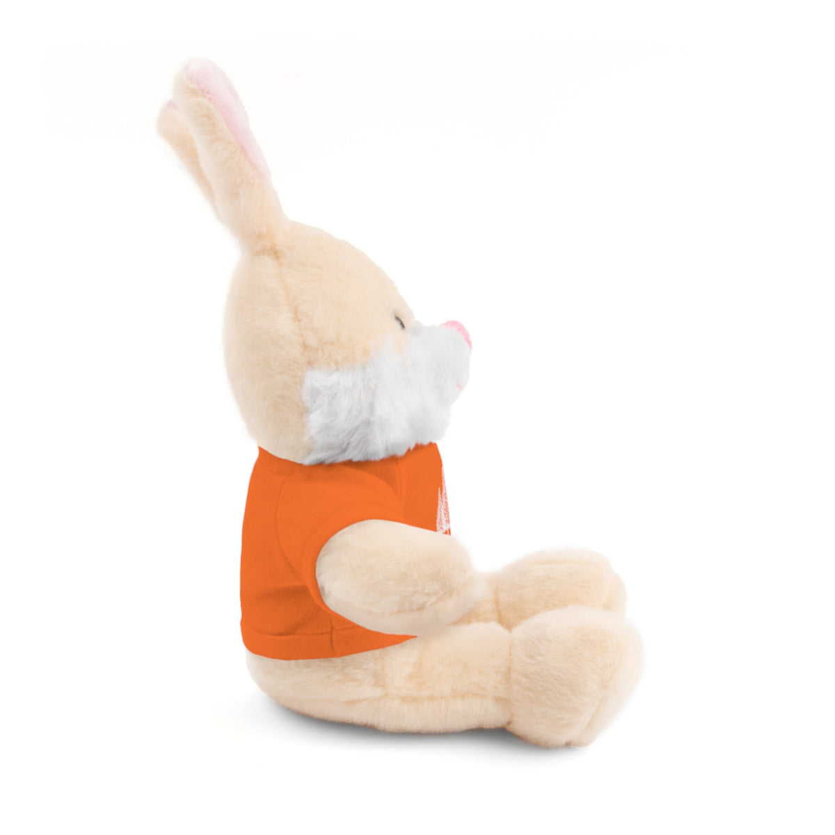 Stuffed Animals with Tee Idyllwild Community