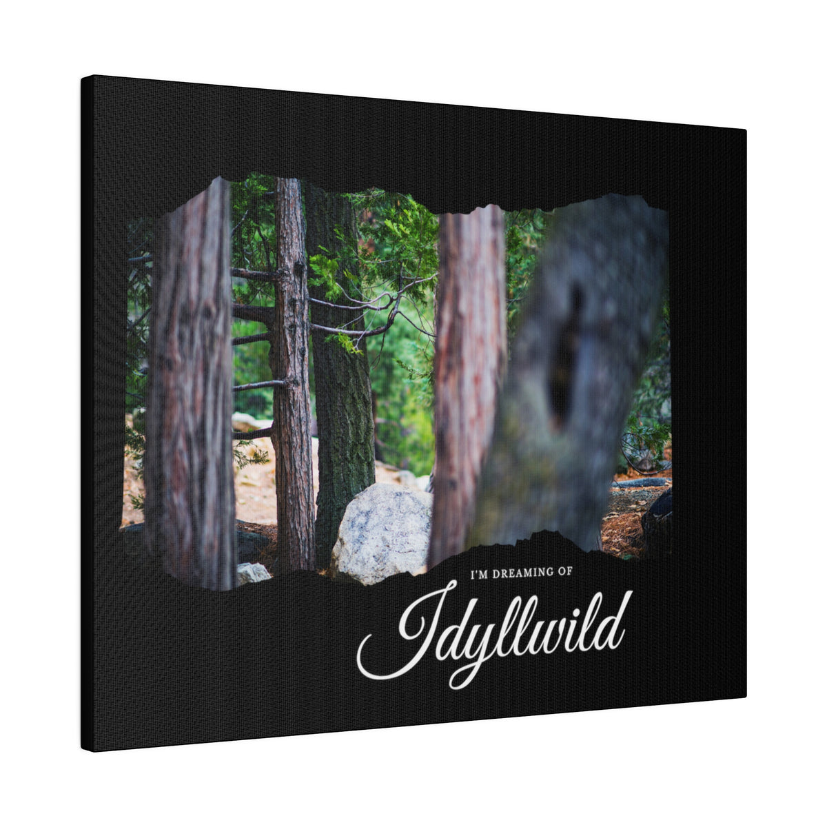 Matte Canvas, Stretched, 0.75" Dreaming of FOrest